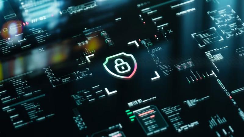桓仁软件开发公司